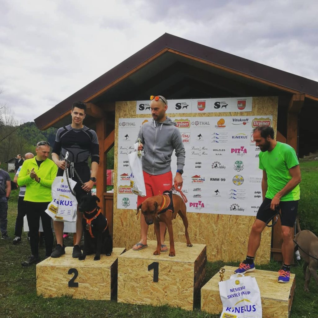 Screenshot – záznamy z dogtrekingov a výziev