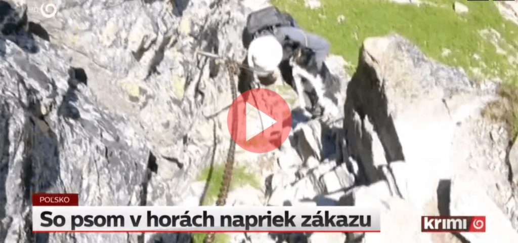 Záber z turistiky v Tatrách 2020