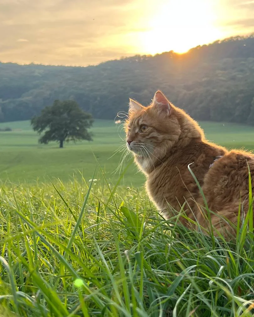 Gary – 8. október 2022