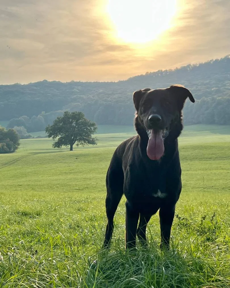 Hektor v Tajnej rajskej záhrade – október 2022
