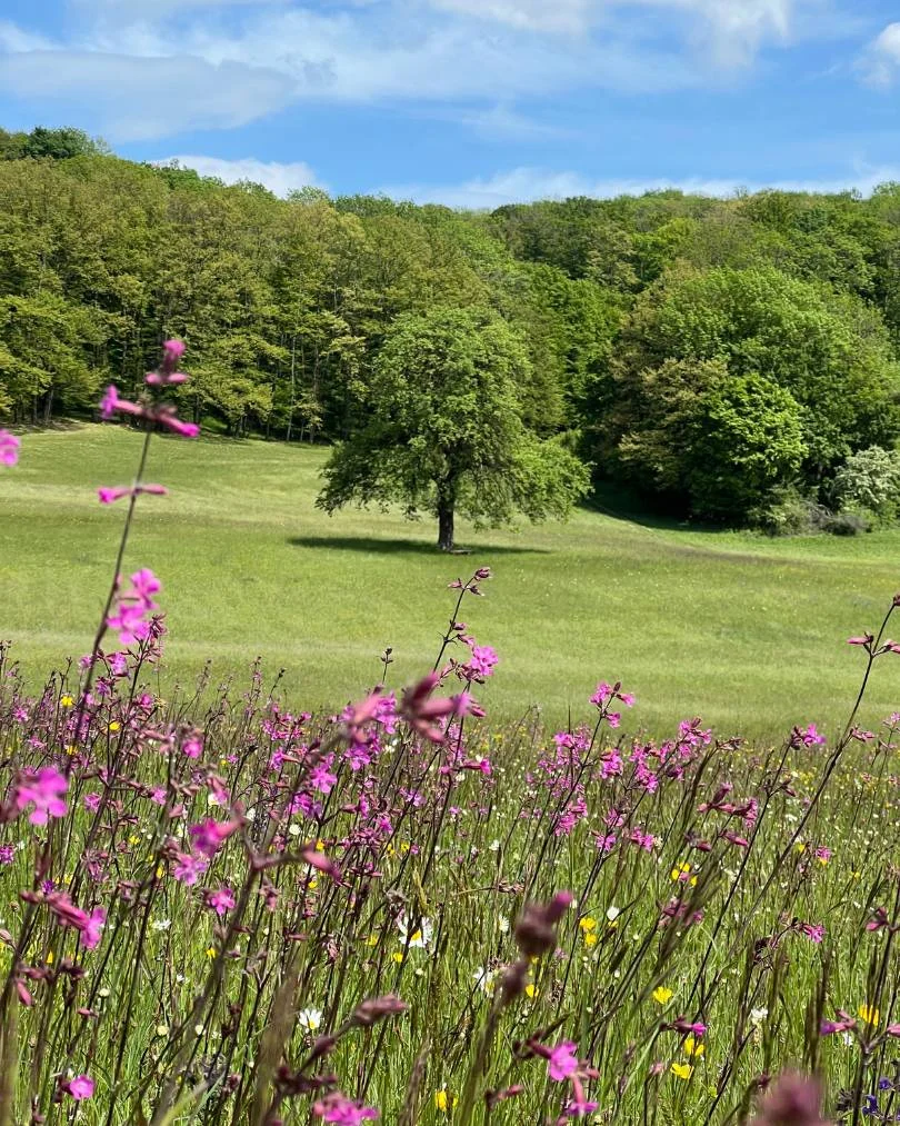 Lúka – 1. máj 2024