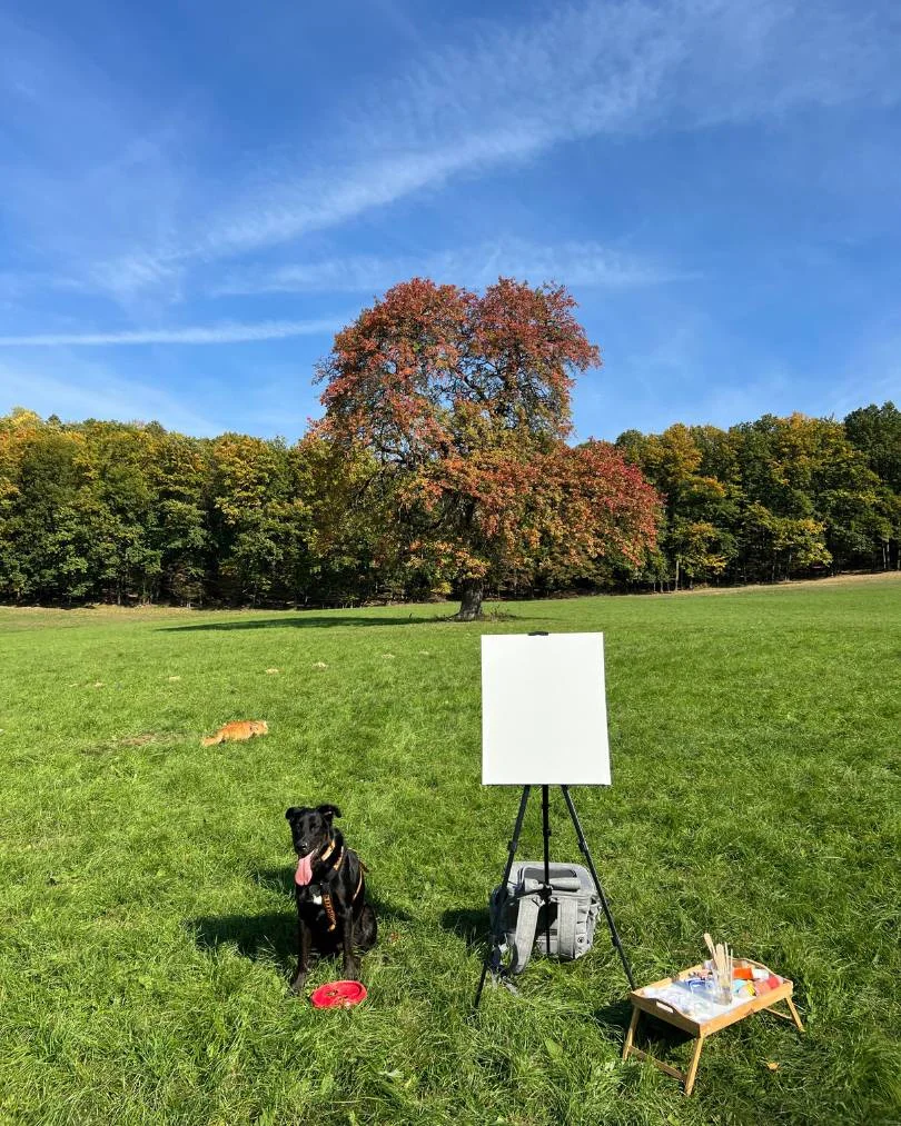 Maľovanie – 17. október 2022