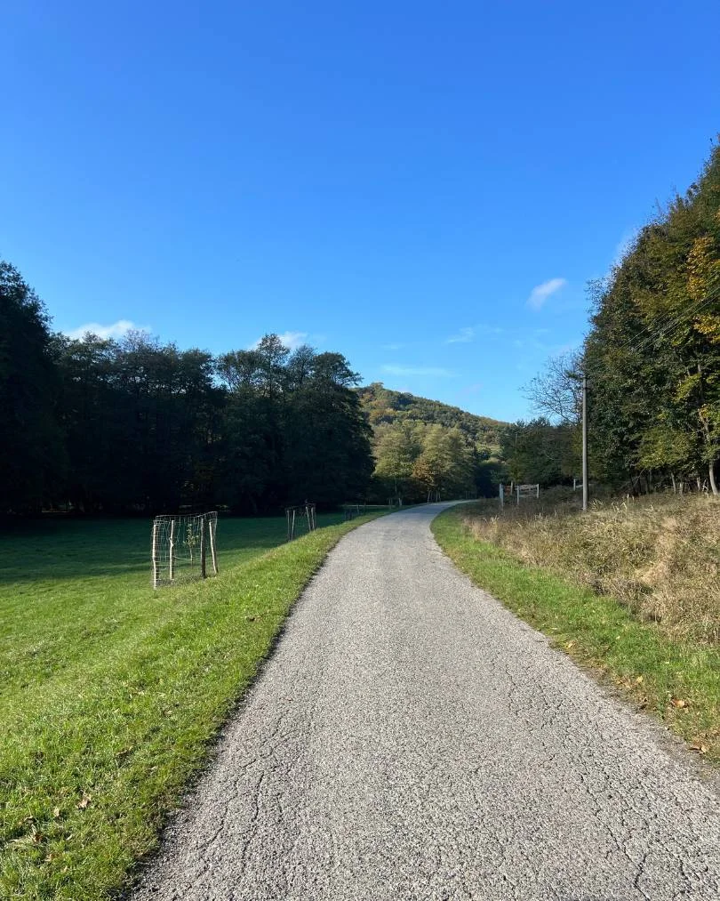 Asfaltová cesta na Majdáne