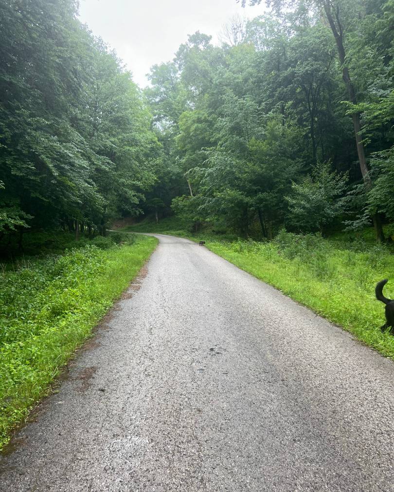 Asfaltka na Prekážke