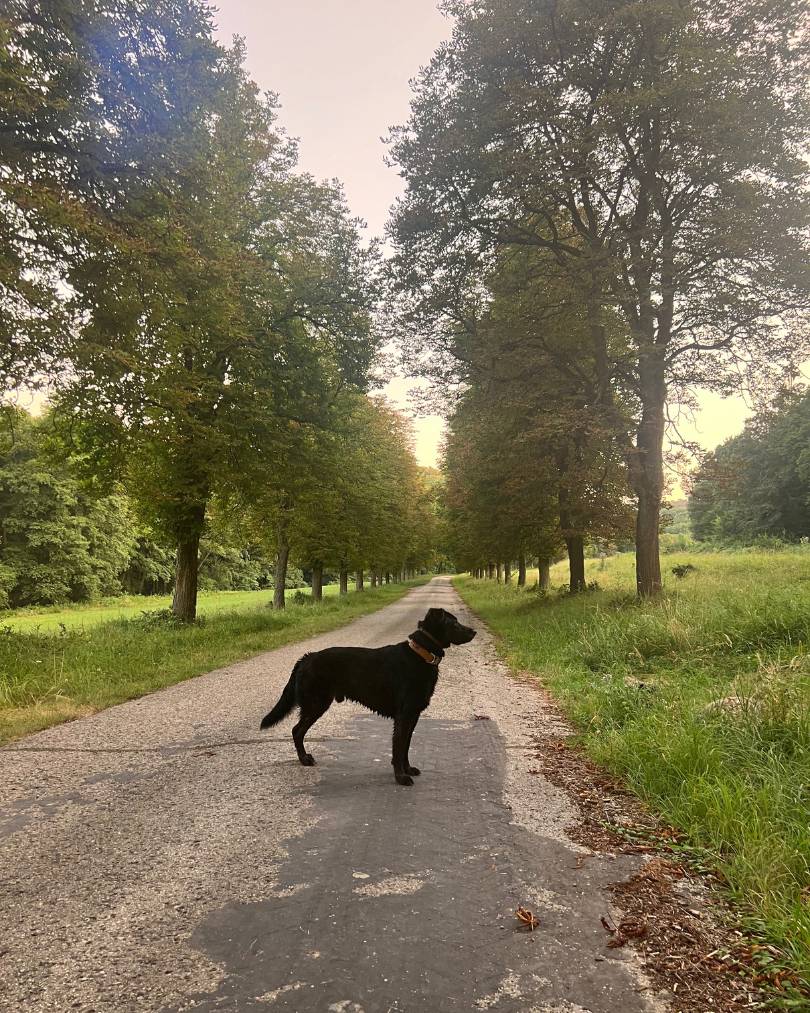 Jeseň na Prekážke