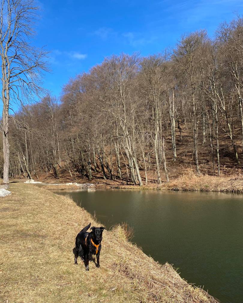 Kúpalisko na Prekážke