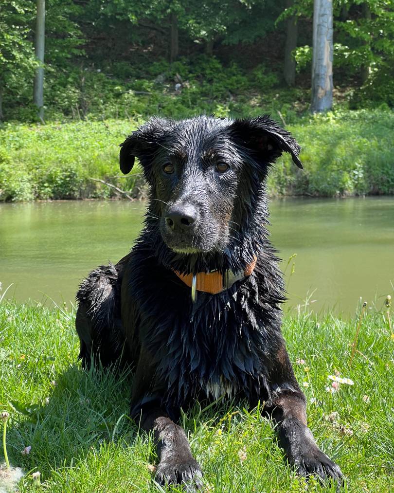 Kúpanie na Prekážke