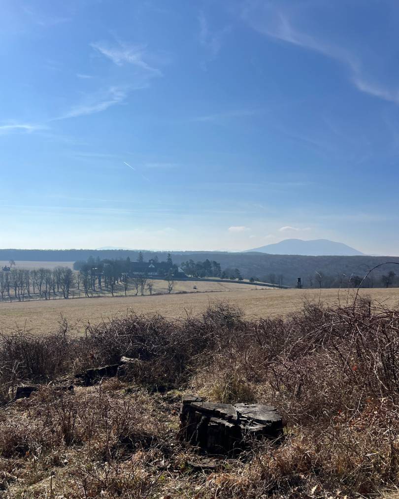 Výhľad na sídlisko